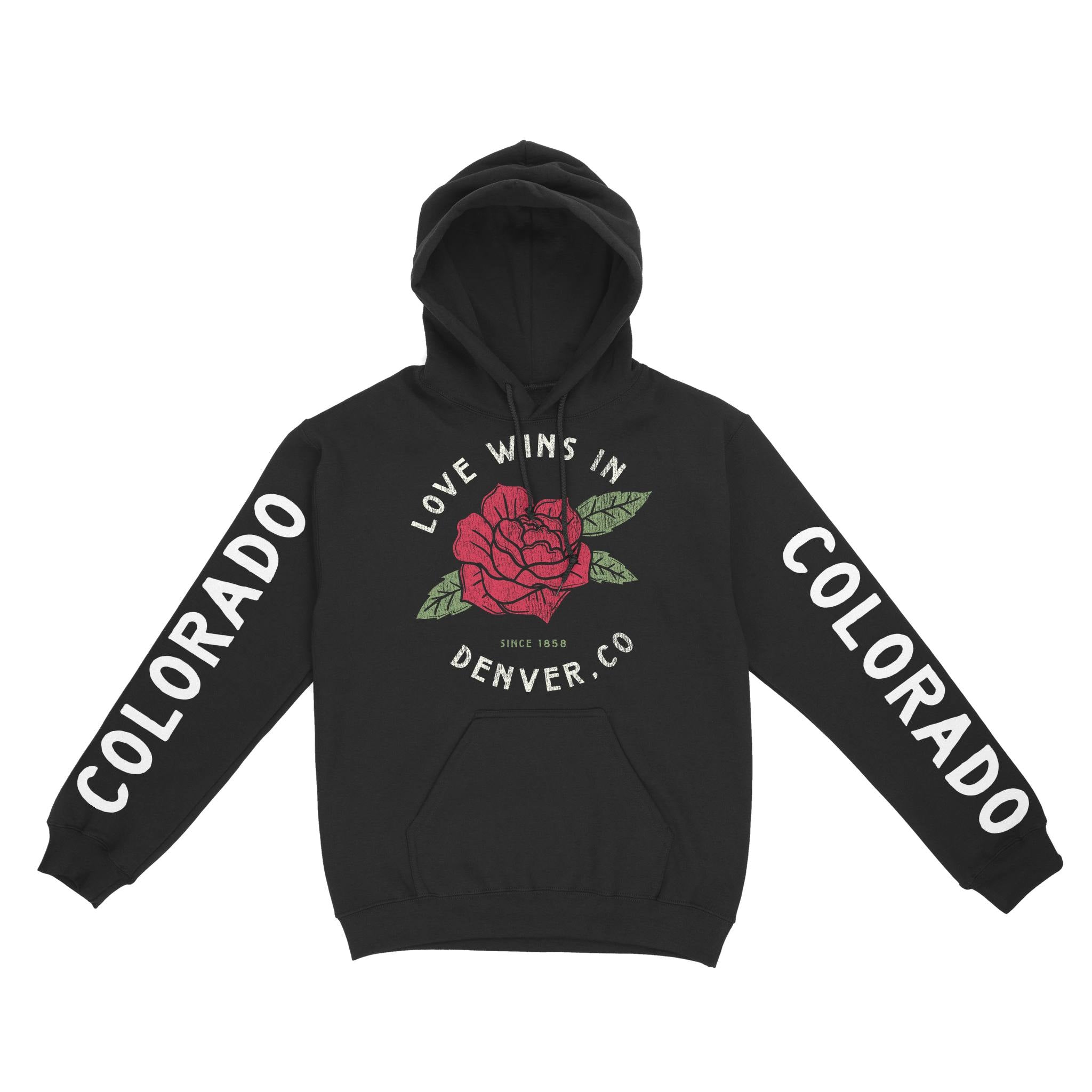 Denver Hoodie in Black - front-sleeves view