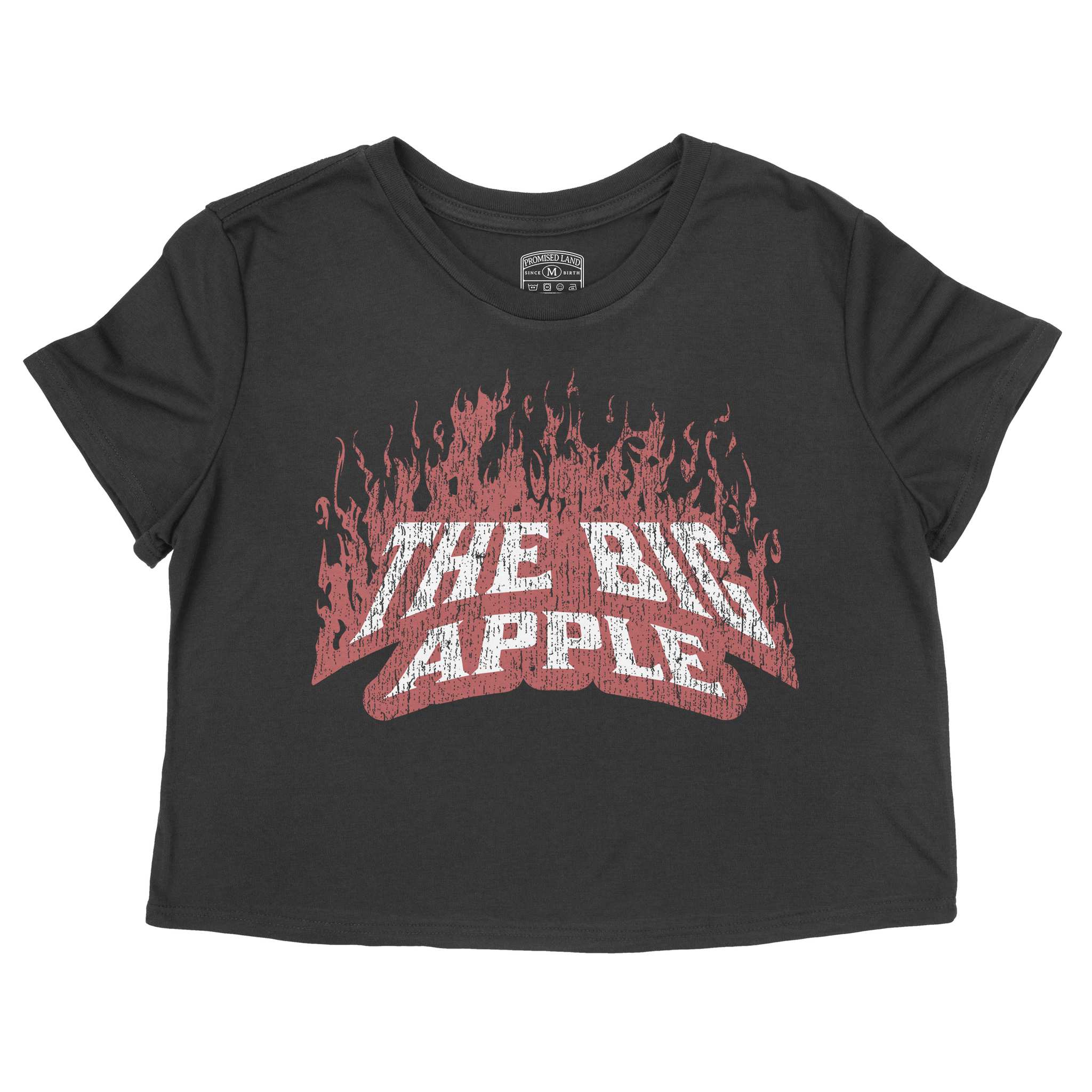 New York Shredder Cropped Tee Black front