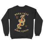 Miami Crewneck in Black - back view