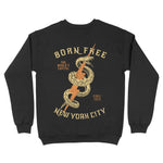 New York Crewneck in Black - back view
