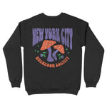 New York Crewneck in Black - back view