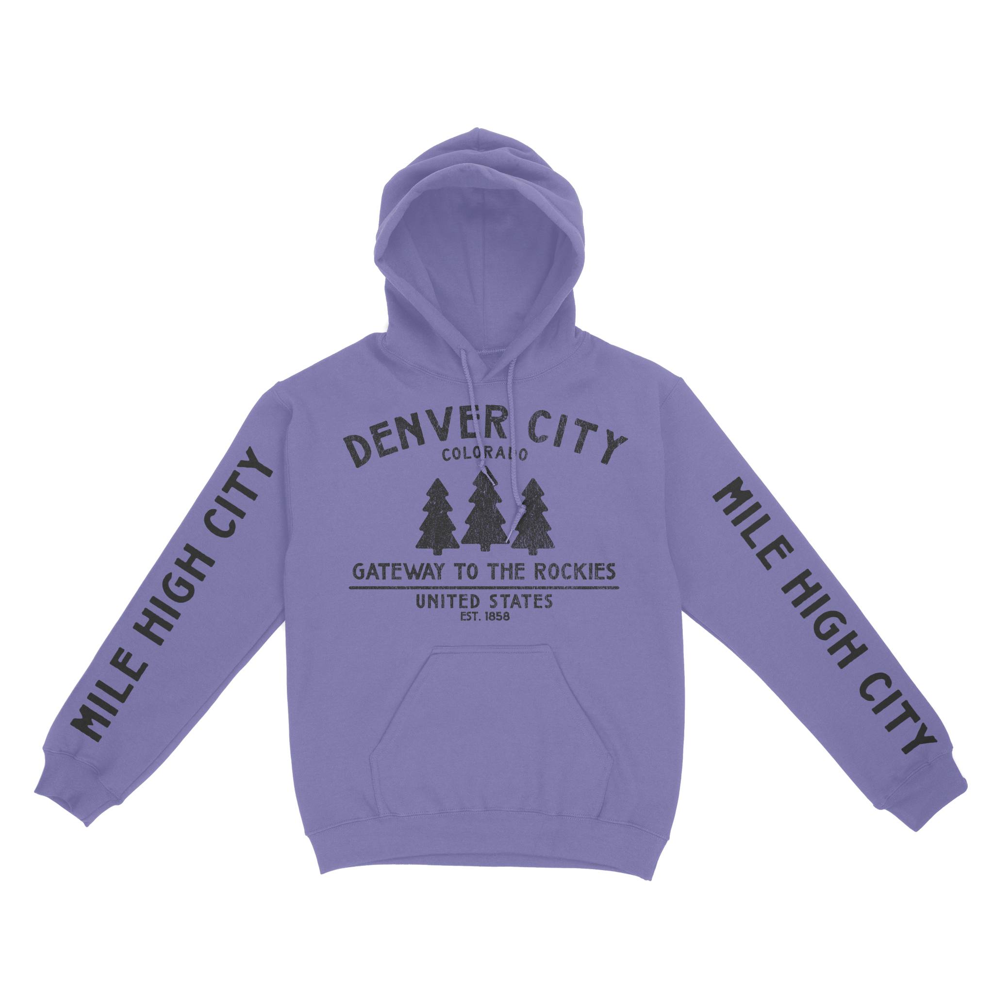Denver Hoodie in Violet - front-sleeves view