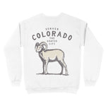 Denver Crewneck in White - back view