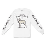 Denver Longsleeve in White - front-sleeves view
