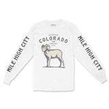 Denver Longsleeve in White - front-sleeves view